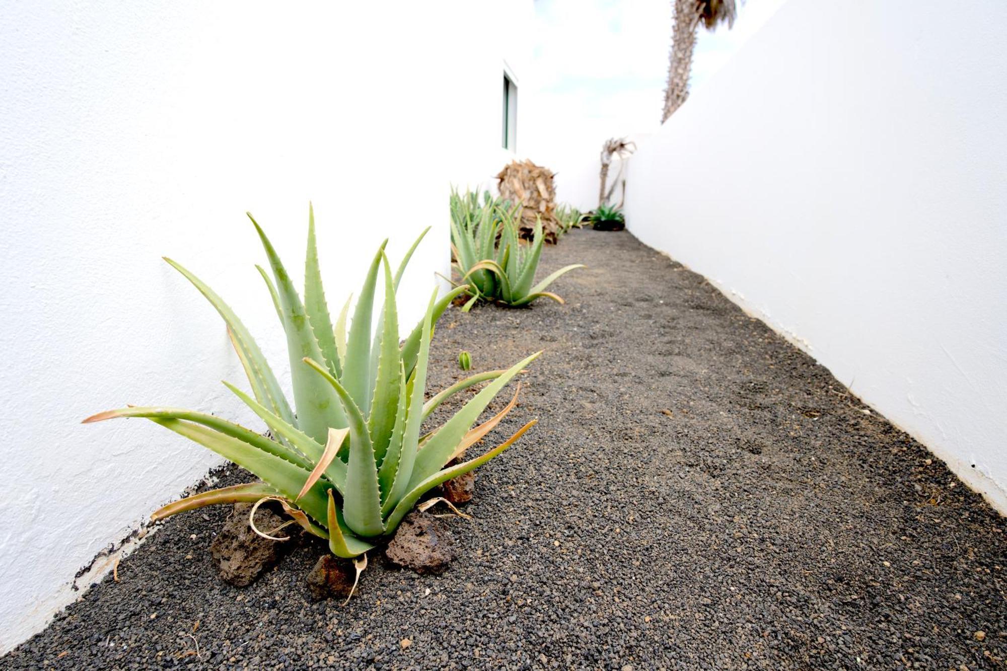 Villas Kalendra, Rofe, Lanzarote Guatiza Extérieur photo